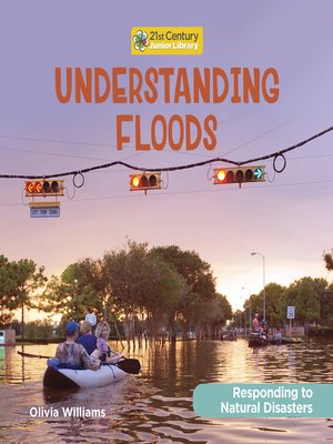 cover image of Understanding Floods